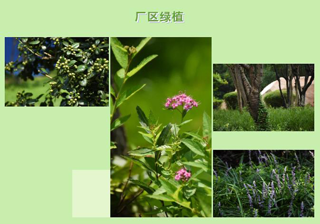 1594256387172686.jpg 微信截圖_20200709083102.jpg